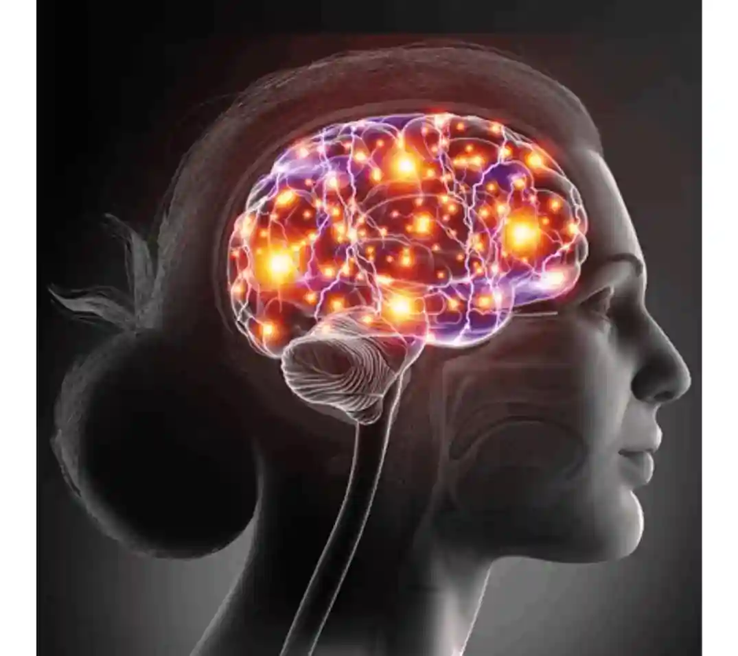 neurothrive supplement